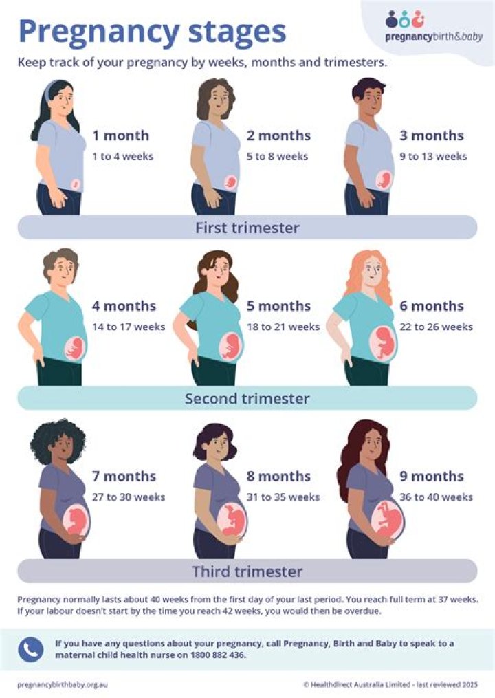 What should I do in the first month of pregnancy?