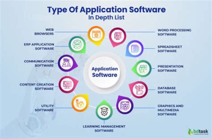 What software do CPA firms use?