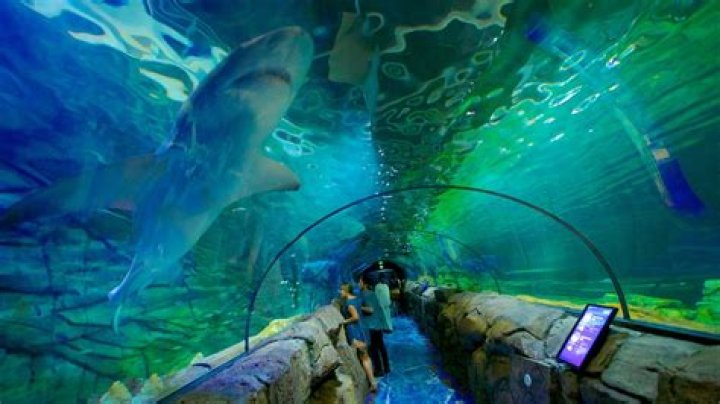 What station is Sydney Aquarium?
