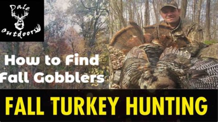 What time of day is best for fall turkey hunting?