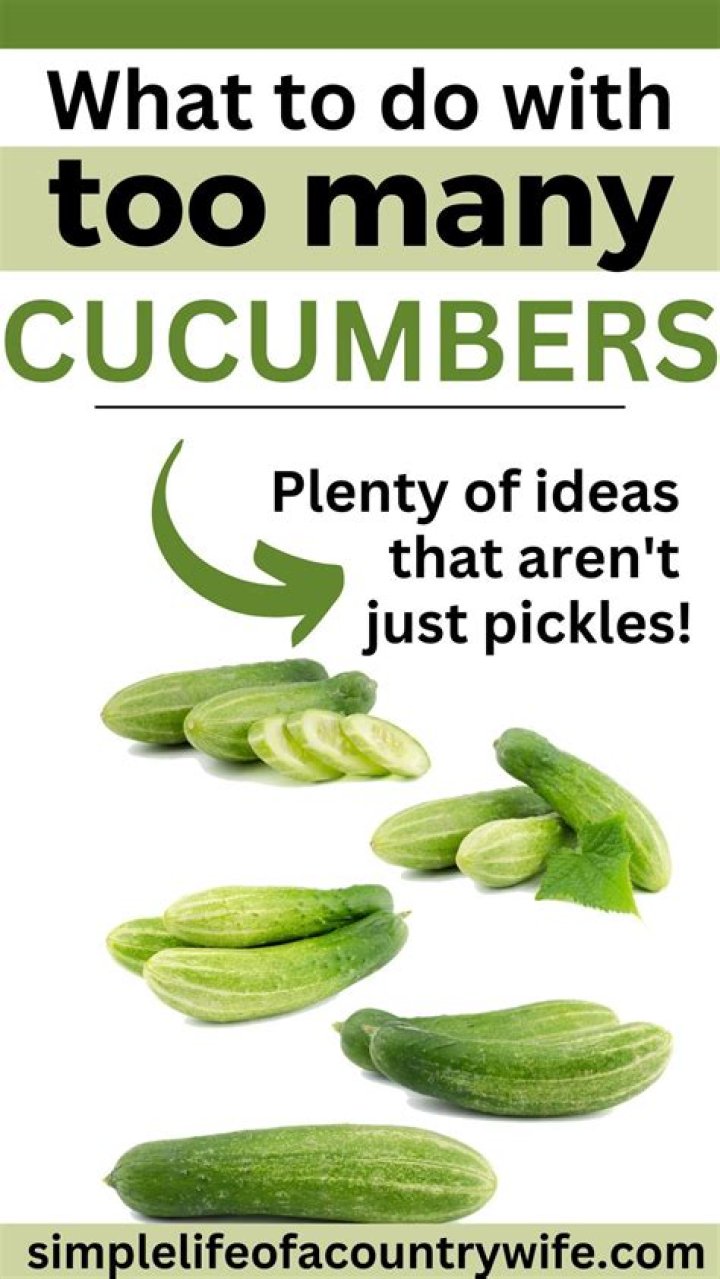 What to do with lots of cucumbers?