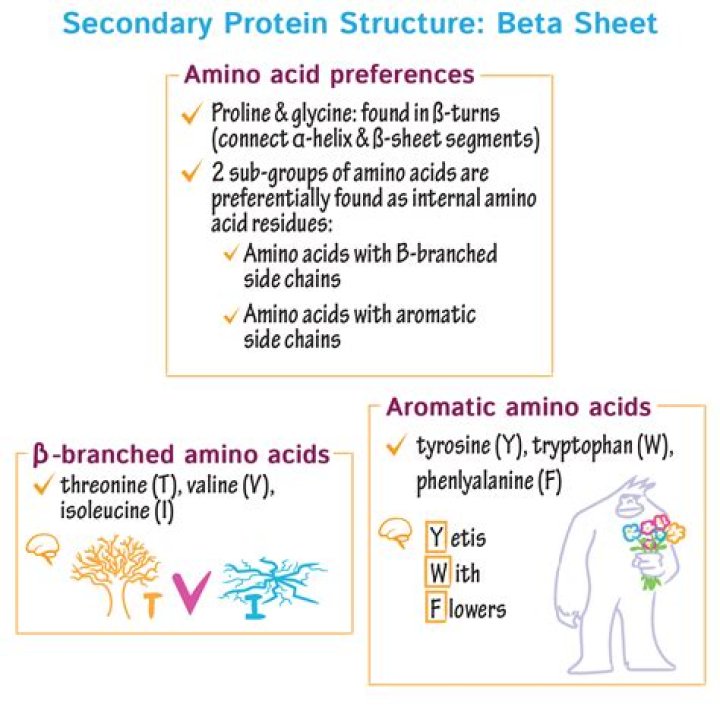 What type of beta sheet is found in chain a of ricin?