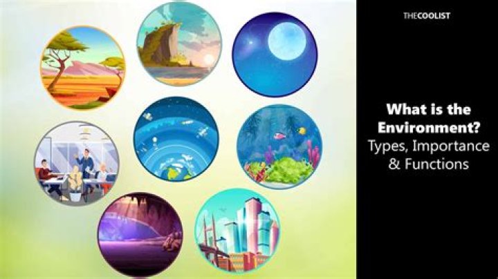 What type of environment does Nemo live in?