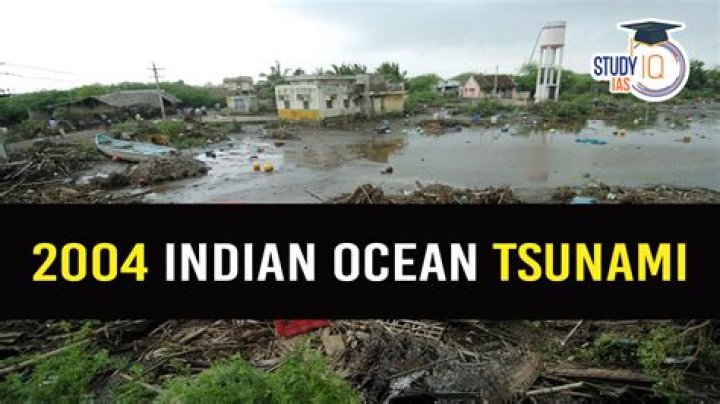 What was the social impact of the 2004 tsunami?