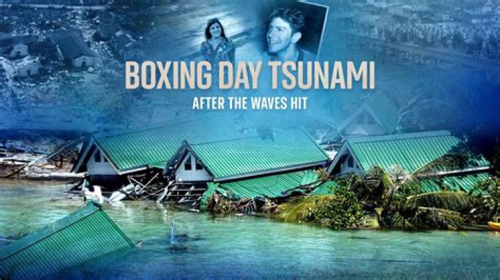 What were the short term effects of the Boxing Day tsunami?
