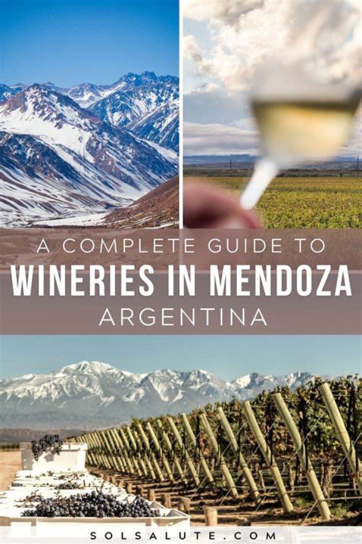 What wine comes from Mendoza?