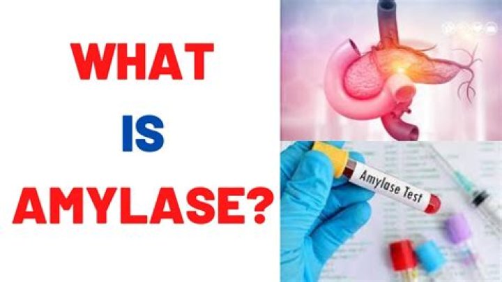 What would cause elevated amylase and lipase?