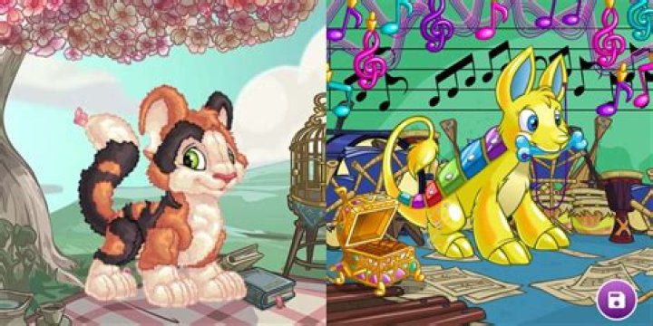 Where can I buy petpet paint brushes?