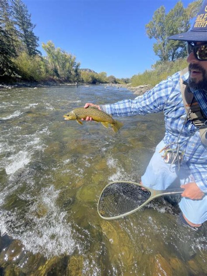 Where can I fish in Eagle River Colorado?