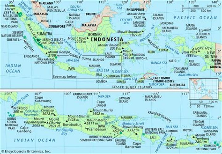 Where did the Balinese come from?