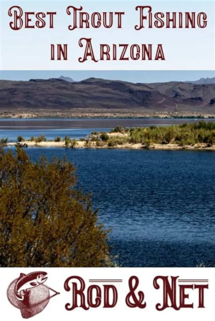 Where is the best trout fishing in Arizona?
