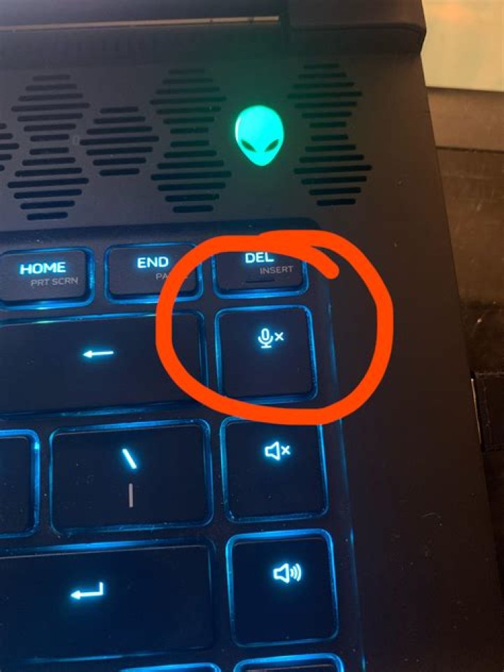 Where is the mute button on a Dell keyboard?