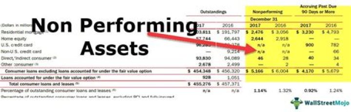 Which assets are non-performing assets?