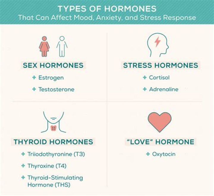 Which hormones are related to mood changes?