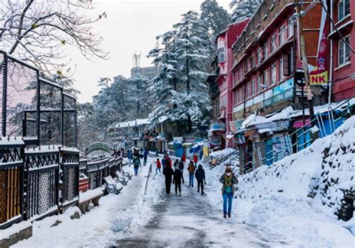 Which network is available in Shimla?