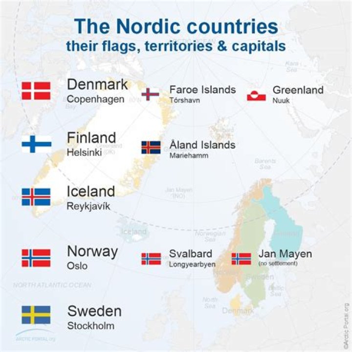 Which Nordic Capital is best?