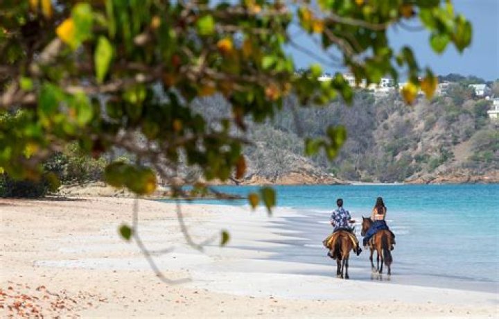 Which Sandals resort has horseback riding?