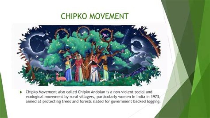 Who led the Chipko Andolan?