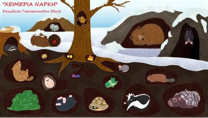 Who makes Hibernate?