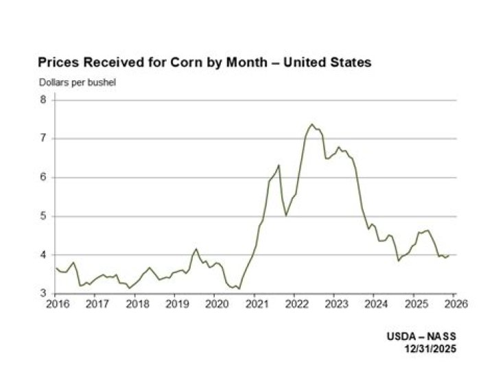 Why is the price of corn so high right now?