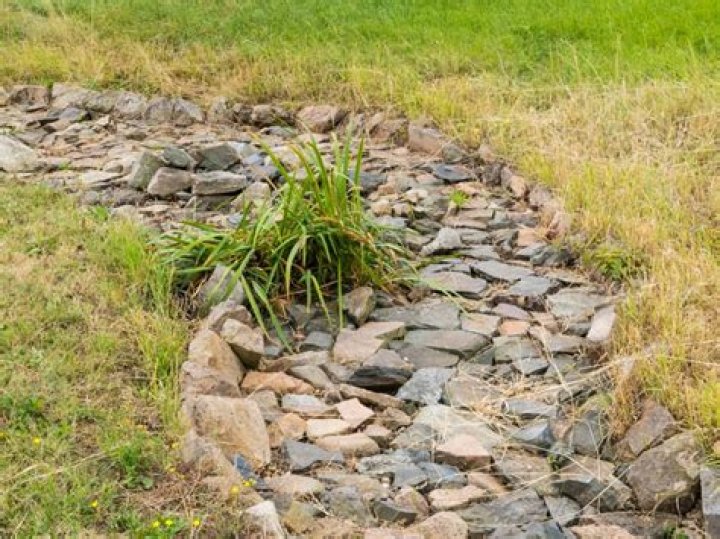 Will a dry creek bed help with drainage?